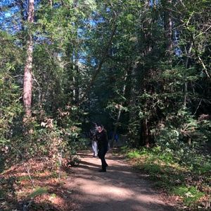 Meet your Posher, Berenice